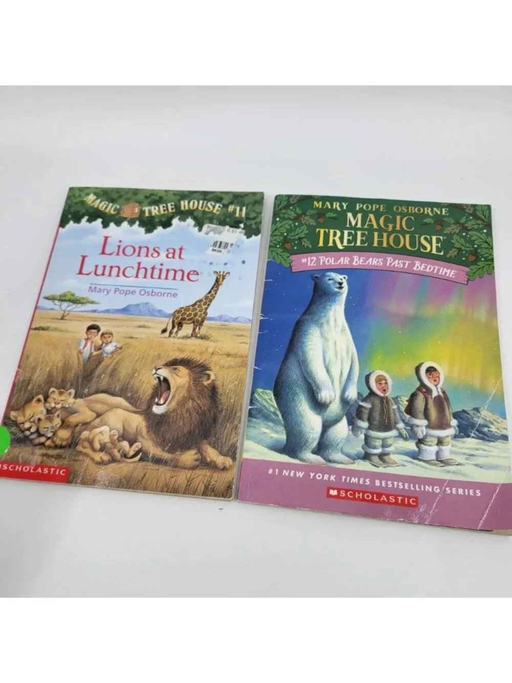 Scholastic magic tree